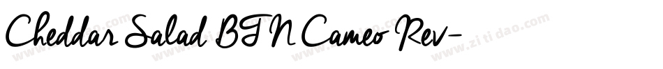 Cheddar Salad BTN Cameo Rev字体转换